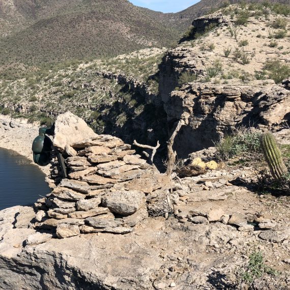 Webcam Installed in the Desert Covered With Rocks So the Eagles Don't See It