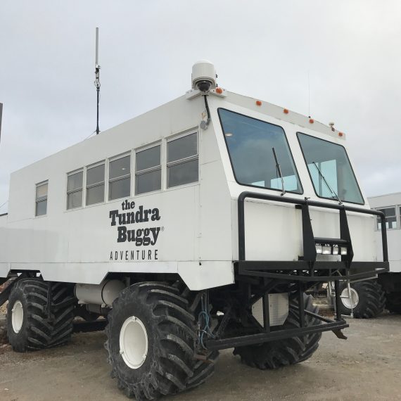 Churchill Manitoba Canada Live Polar Bear Camera Installation