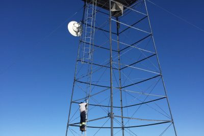 Churchill Polar Bears Live Camera Installation Images