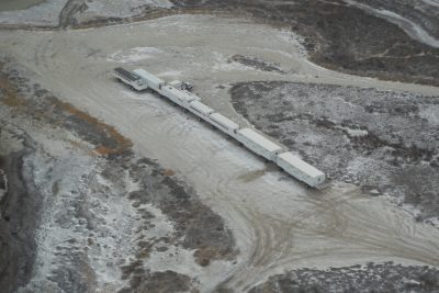 Churchill Polar Bears Live Camera Installation Images