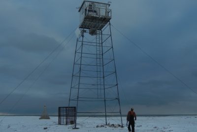 Churchill Polar Bears Live Camera Installation Images