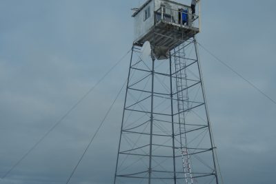 Churchill Polar Bears Live Camera Installation Images