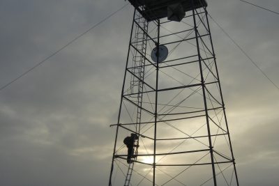 Churchill Polar Bears Live Camera Installation Images