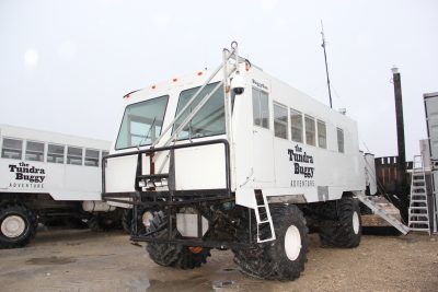 Churchill Polar Bears Live Camera Installation Images