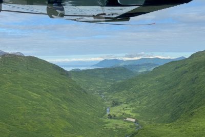 Kodiak Island Brown Bears0002