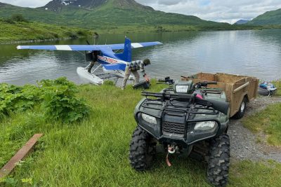 Kodiak Island Brown Bears0005