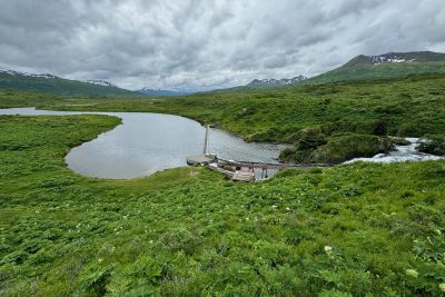 Kodiak Island Brown Bears0009