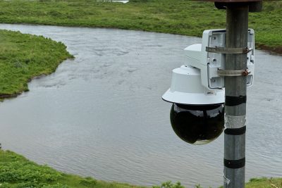 Axis Camera Overlooking Bears