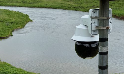 Axis Camera Overlooking Bears