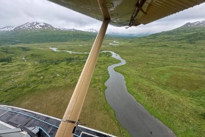 Kodiak Island Brown Bears0017